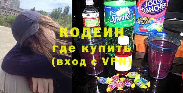хмурый Алзамай