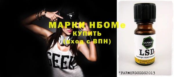 хмурый Алзамай